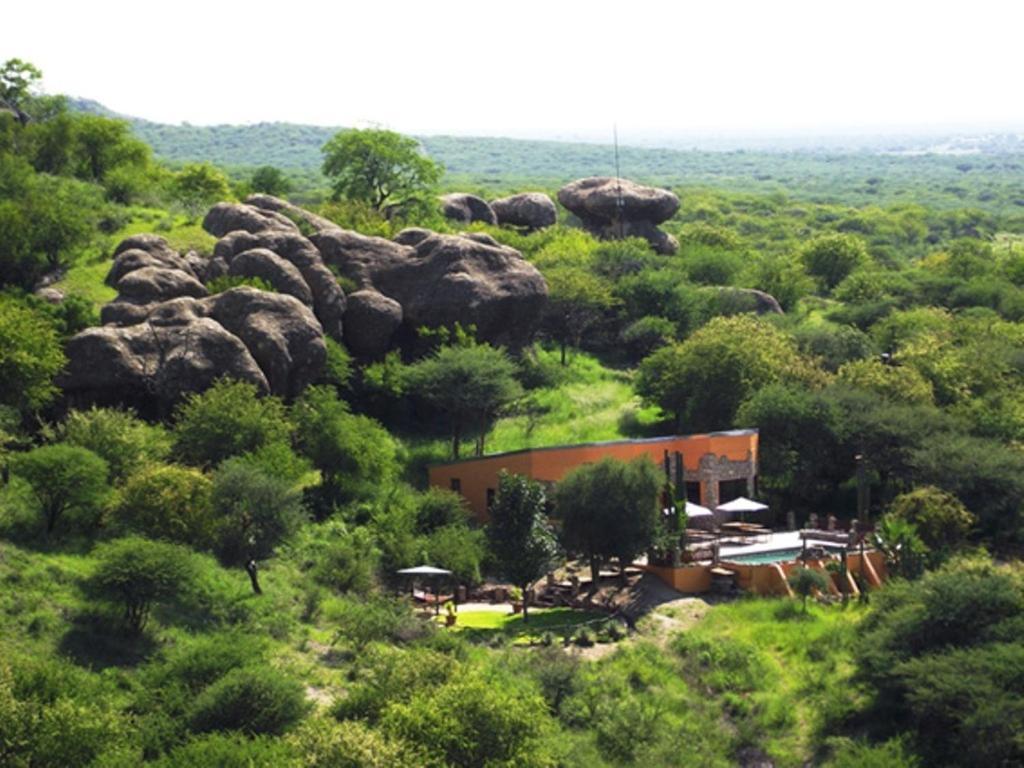 아웃조 Sasa Safari Camp & Tours 빌라 외부 사진