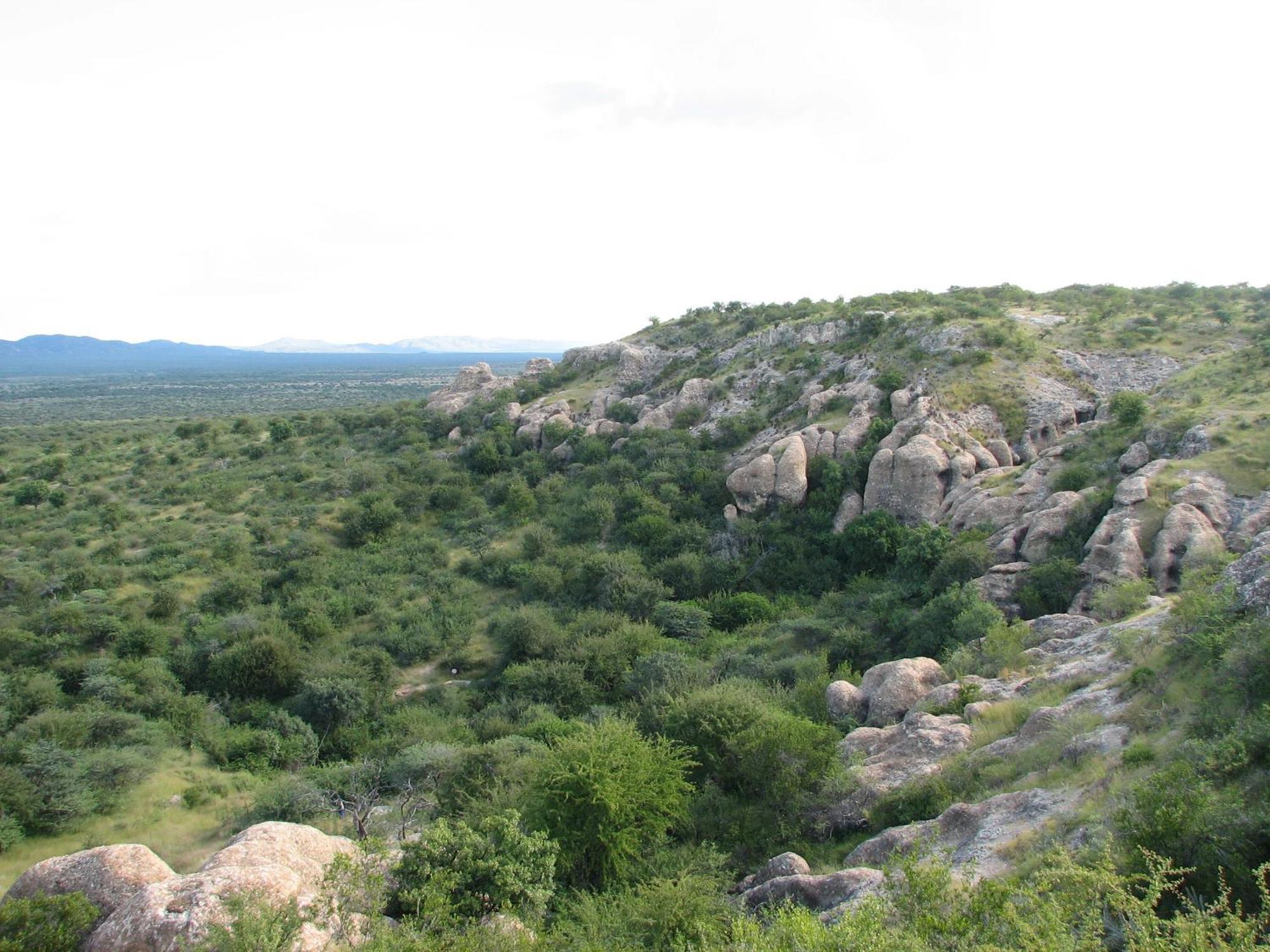 아웃조 Sasa Safari Camp & Tours 빌라 외부 사진