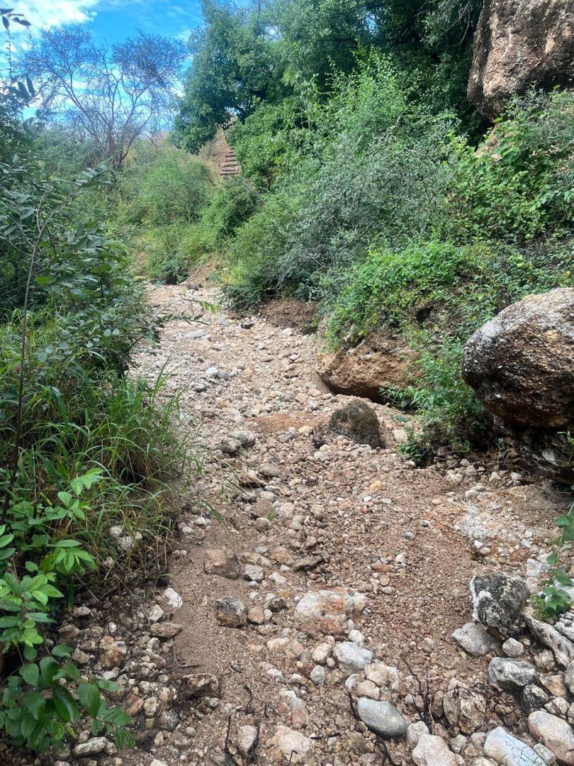 아웃조 Sasa Safari Camp & Tours 빌라 외부 사진